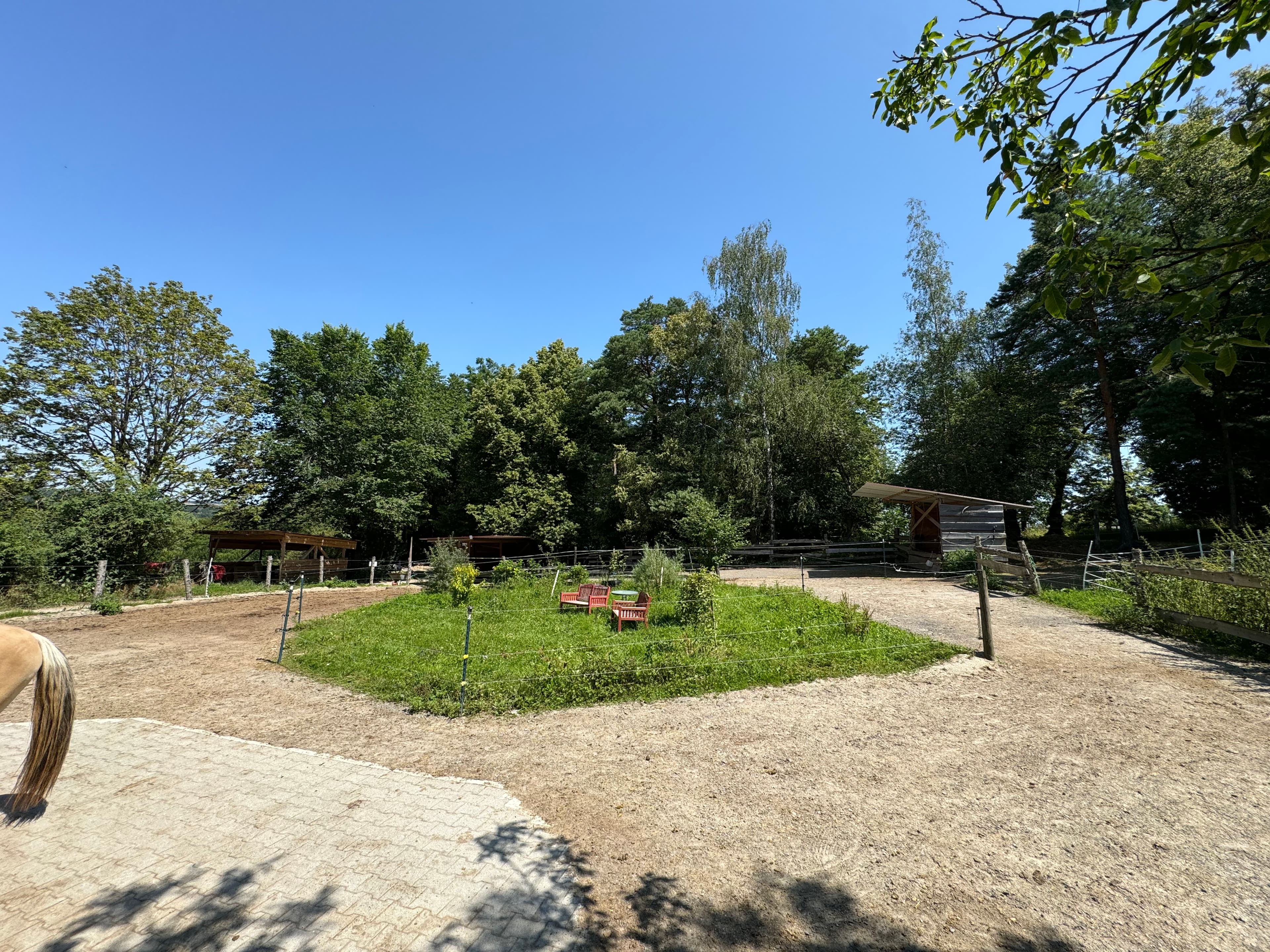 Panorama des Hestura-Geländes mit Bäumen und Koppeln