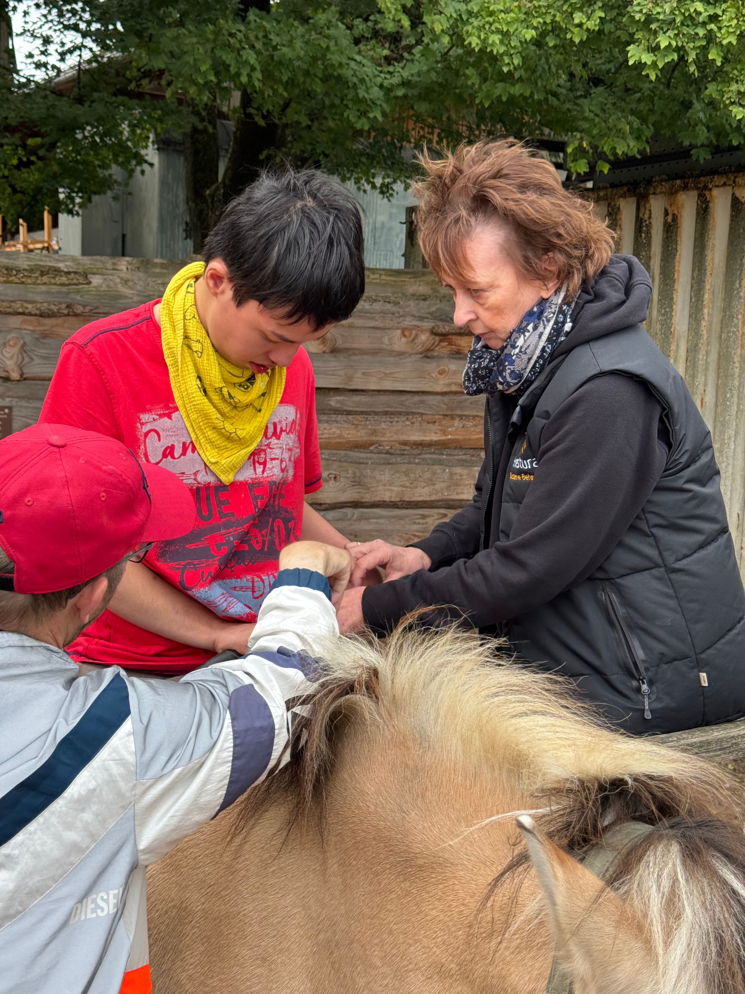 Reittherapie am Lindenhof