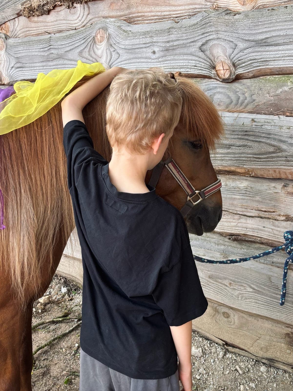 Kind legt den Arm über die Mähne eines Ponys, das ihm den Kopf zuwendet